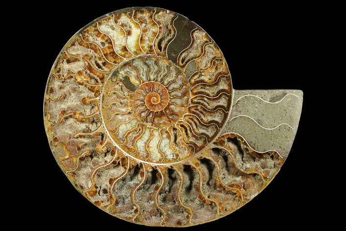 Cut & Polished Ammonite Fossil (Half) - Crystal Filled #184254